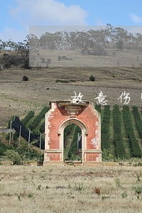 故意伤害不起诉法律意见书 故意伤害不起诉法律意见书