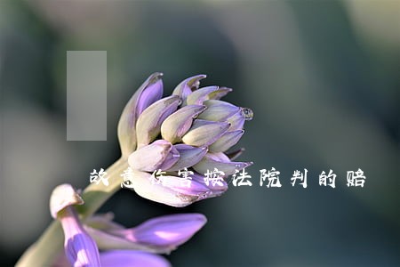 故意伤害按法院判的赔 故意伤害按法院判的赔
