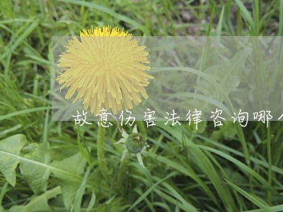 故意伤害法律咨询哪个好