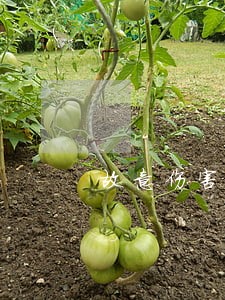 故意伤害纠纷律师收费标准 故意伤害纠纷律师收费标准