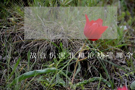 故意伤害罪和抢劫罪哪个量刑大 故意伤害罪和抢劫罪哪个量刑大