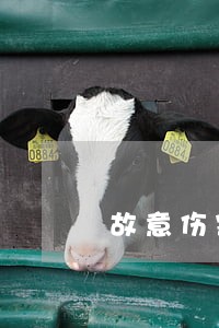 故意伤害罪律师找哪个