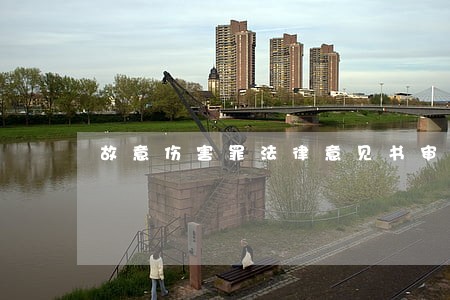 故意伤害罪法律意见书审查起诉