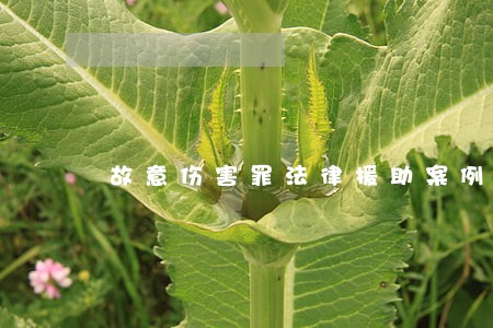 故意伤害罪法律援助案例 故意伤害罪法律援助案例