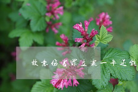 故意伤害罪立案一年还能起诉吗 故意伤害罪立案一年还能起诉吗