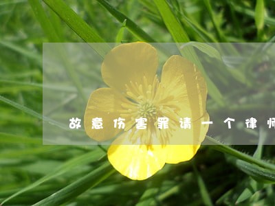 故意伤害罪请一个律师需要多少钱 故意伤害罪请一个律师需要多少钱