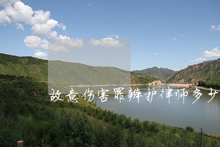 故意伤害罪辩护律师多少钱