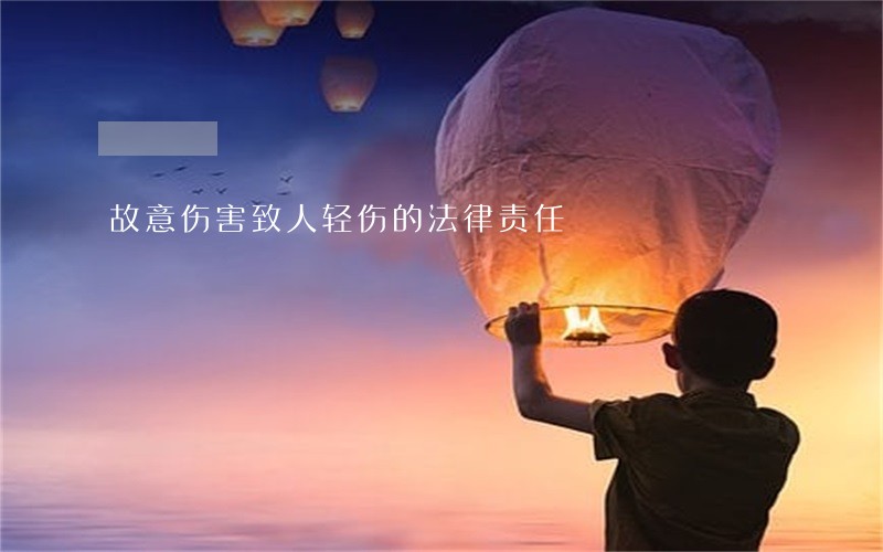故意伤害致人轻伤的法律责任 故意伤害致人轻伤的法律责任