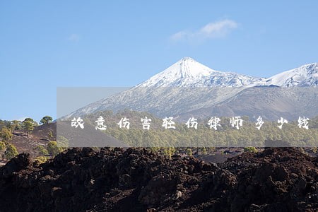 故意伤害轻伤律师多少钱 故意伤害轻伤律师多少钱