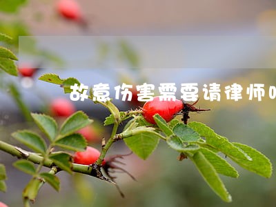 故意伤害需要请律师吗 故意伤害需要请律师吗