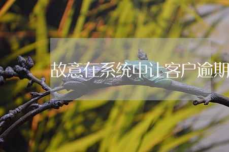 故意在系统中让客户逾期 故意在系统中让客户逾期