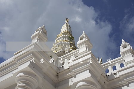 故意投毒未遂违法吗 故意投毒未遂违法吗
