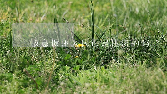 故意损坏人民币是违法的吗 故意损坏人民币是违法的吗