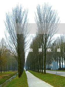 故意收逾期费可以投诉