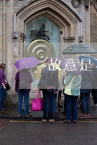 故意是不是主观违法要素