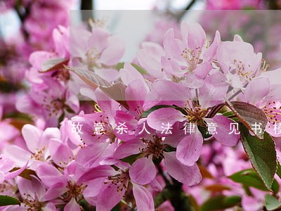 故意杀人法律意见书模板 故意杀人法律意见书模板