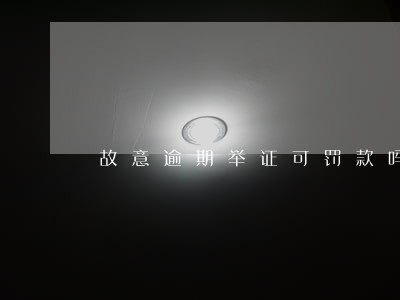 故意逾期举证可罚款吗 故意逾期举证可罚款吗