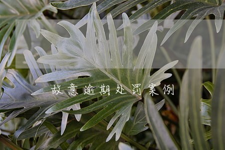 故意逾期处罚案例 故意逾期处罚案例