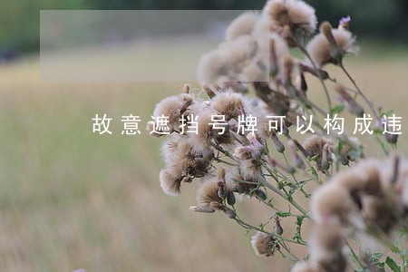 故意遮挡号牌可以构成违法行为吗 故意遮挡号牌可以构成违法行为吗