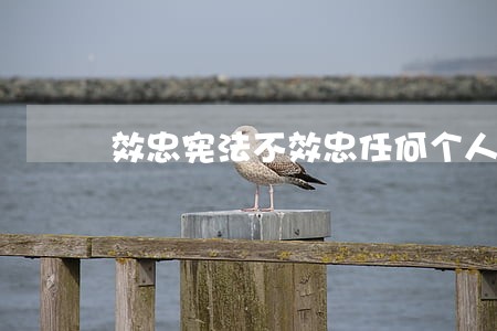 效忠宪法不效忠任何个人 效忠宪法不效忠任何个人