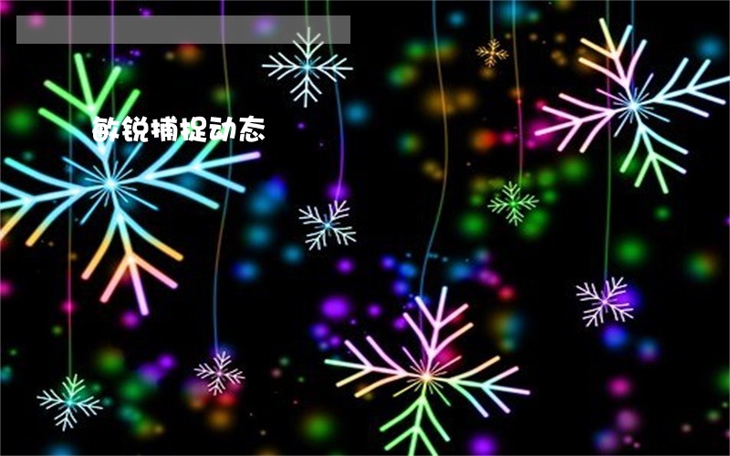敏锐捕捉动态