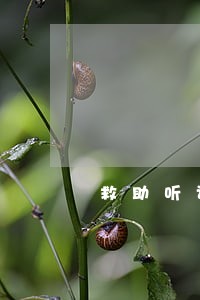 救助听证会彰显检察温度 救助听证会彰显检察温度