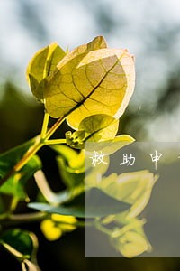 救助申请时间多 救助申请时间多