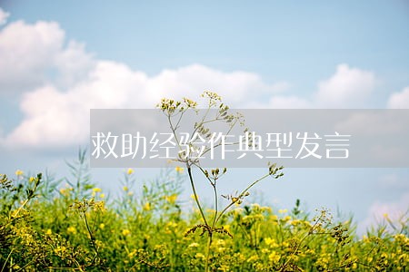 救助经验作典型发言 救助经验作典型发言
