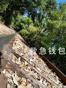 救急钱包逾期会怎样 救急钱包逾期会怎样