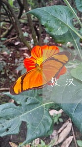 敖汉旗人民法资产诉讼 敖汉旗人民法资产诉讼