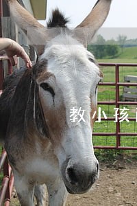教小孩画画违法吗 教小孩画画违法吗