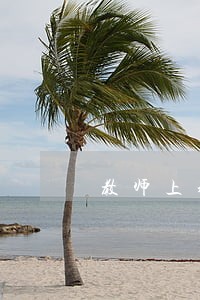 教师上班期间旅行违法吗 教师上班期间旅行违法吗