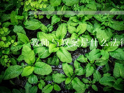 教师与教案是什么法律关系 教师与教案是什么法律关系