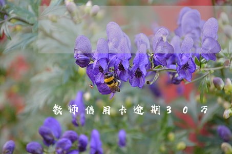 教师信用卡逾期30万 教师信用卡逾期30万