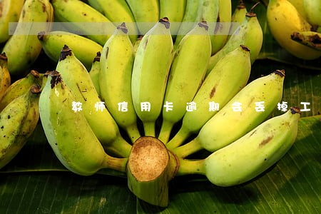 教师信用卡逾期会丢掉工作吗 教师信用卡逾期会丢掉工作吗