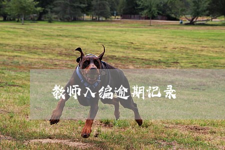 教师入编逾期记录 教师入编逾期记录