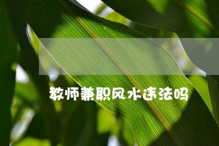 教师兼职风水违法吗 教师兼职风水违法吗