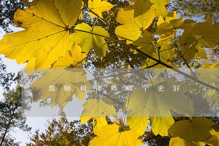 教师和律师哪个更好 教师和律师哪个更好