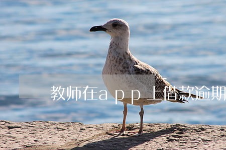 教师在app上借款逾期 教师在app上借款逾期