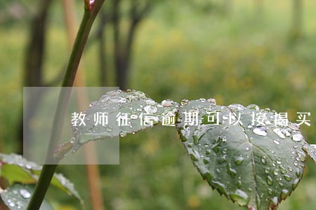 教师征信逾期可以按揭买房吗 教师征信逾期可以按揭买房吗