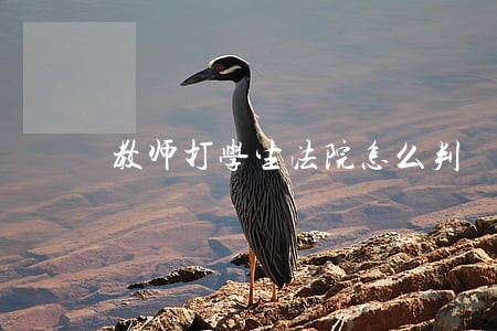 教师打学生法院怎么判