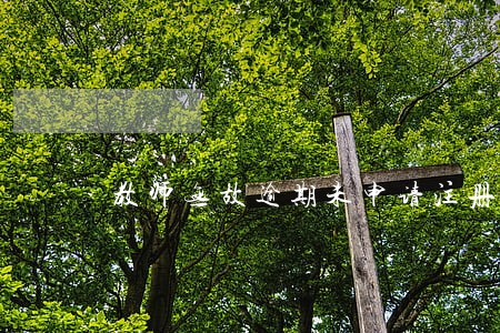 教师无故逾期未申请注册 教师无故逾期未申请注册