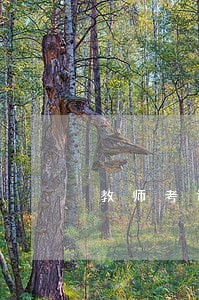 教师考试报名逾期缴费 教师考试报名逾期缴费