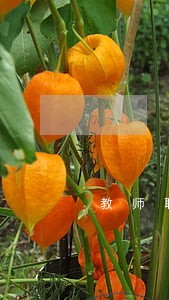 教师职业道德政策法规