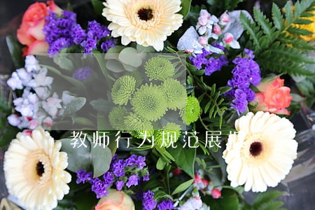 教师行为规范展板 教师行为规范展板