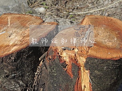 教师证和律师证 教师证和律师证