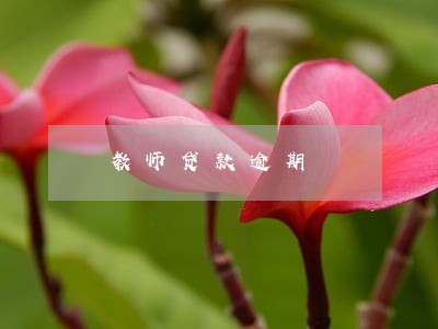教师贷款逾期 教师贷款逾期
