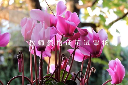 教师资格证笔试审核逾期时间 教师资格证笔试审核逾期时间