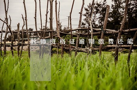 教师资格证逾期缴费还能缴费吗 教师资格证逾期缴费还能缴费吗
