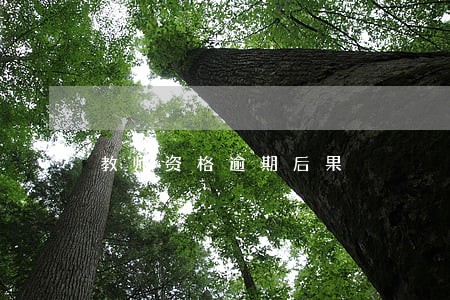 教师资格逾期后果 教师资格逾期后果